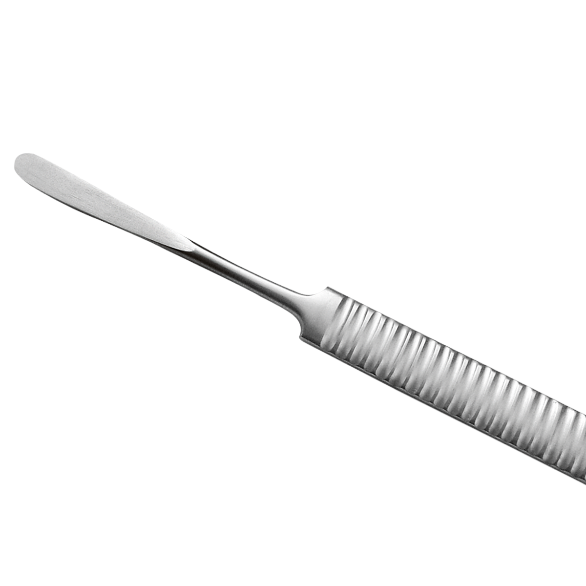 Immagine_testata_880_header